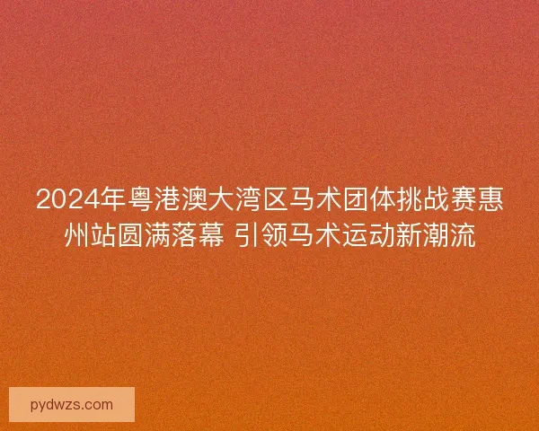 2024年粤港澳大湾区马术团体挑战赛惠州站圆满落幕 引领马术运动新潮流