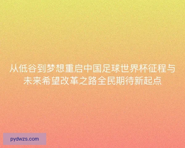 从低谷到梦想重启中国足球世界杯征程与未来希望改革之路全民期待新起点